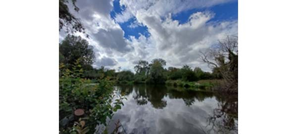 Le Parc de la Tourbière